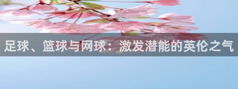 3377体育是正规平台吗