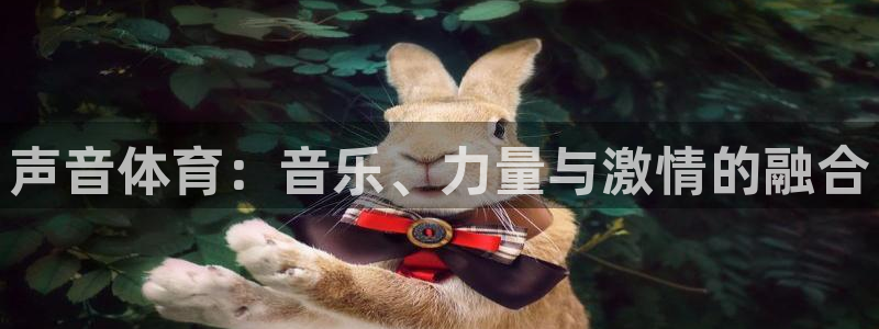 3377体育中国官方网站入口