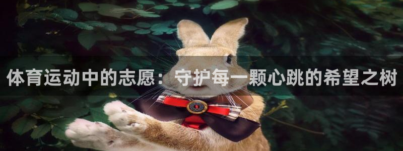 3377体育平台