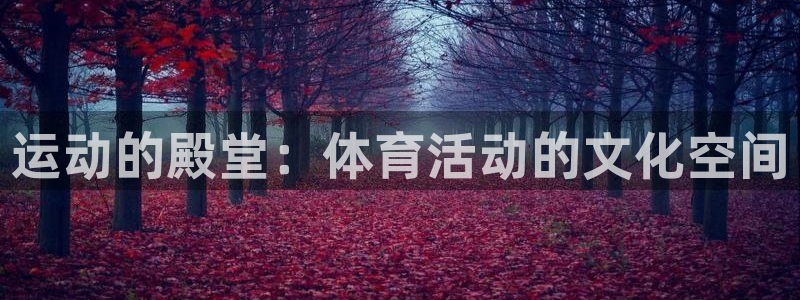 3377体育在线登录官网入口