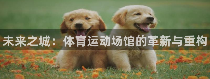 3377体育手机平台