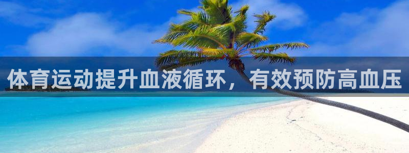 3377体育全网