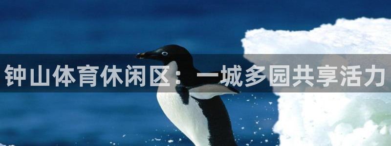 3377体育中国官方网站入口
