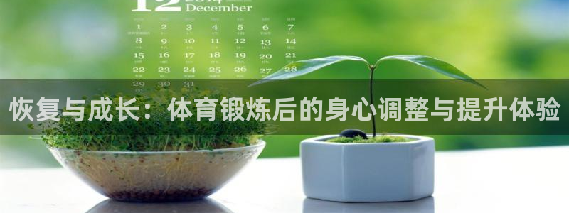 3377体育官网下载