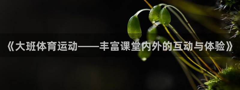 3377体育官网入口网页版