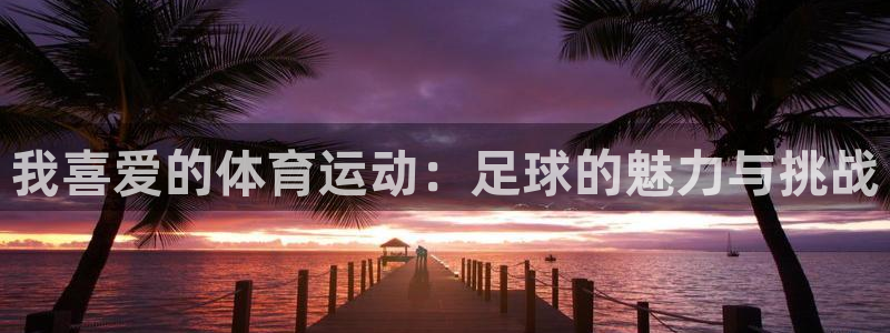 3377体育app登录入口