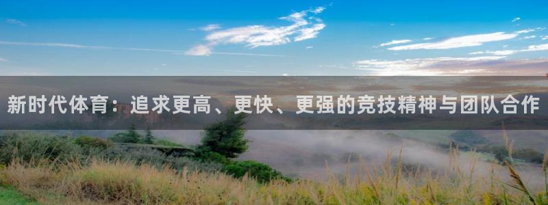 3377体育中国官方网站入口