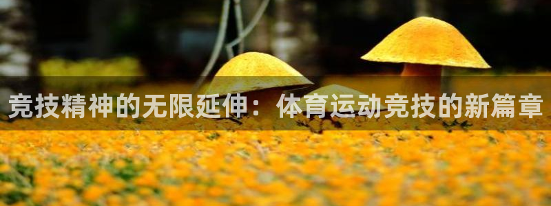 3377体育中国官方网站入口