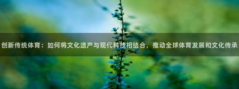 3377体育在线登录官网入口